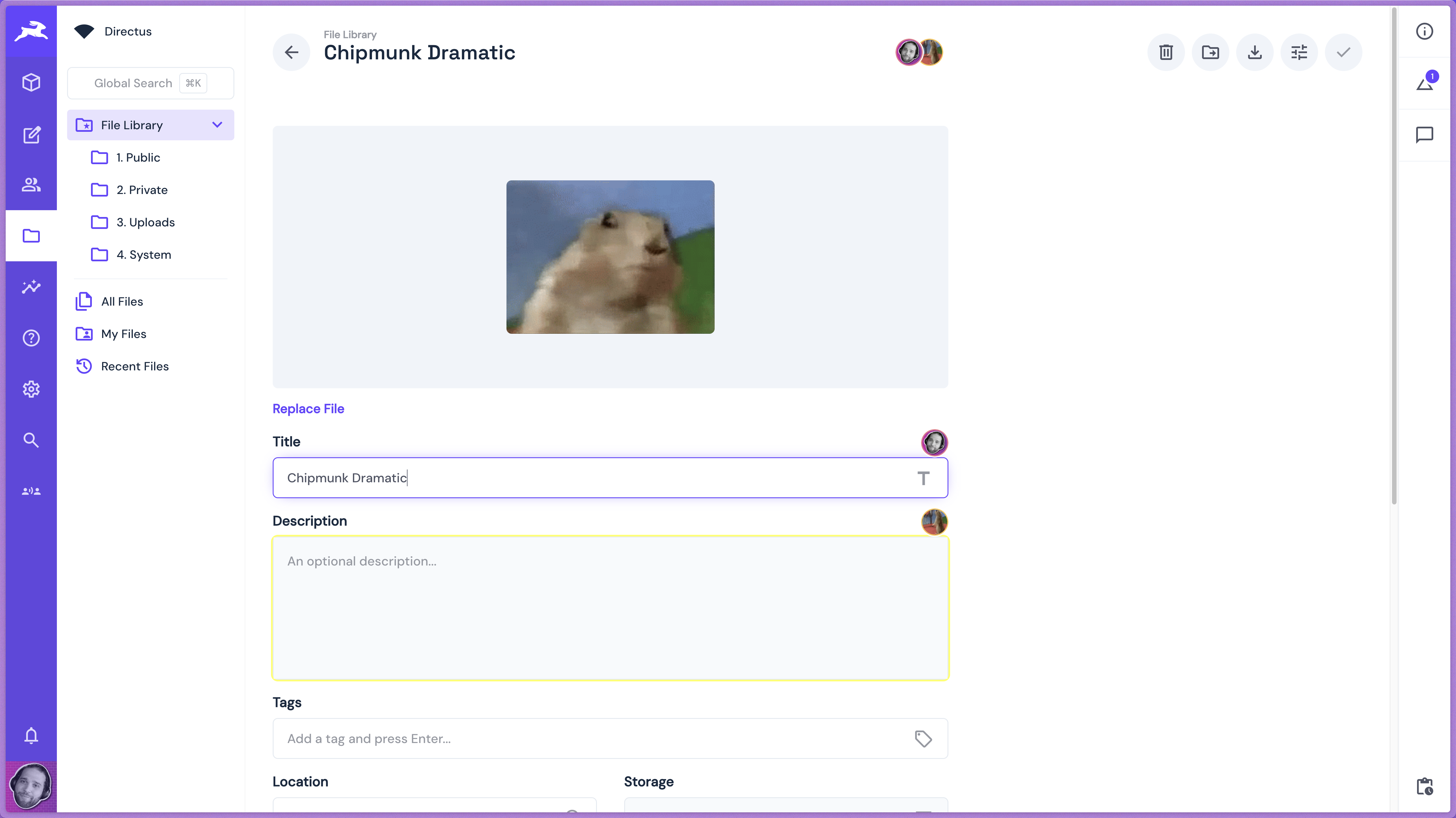 File library metadata